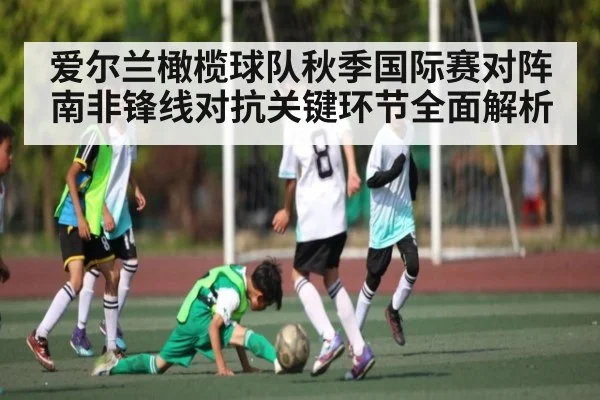 爱尔兰橄榄球队秋季国际赛对阵南非锋线对抗关键环节全面解析